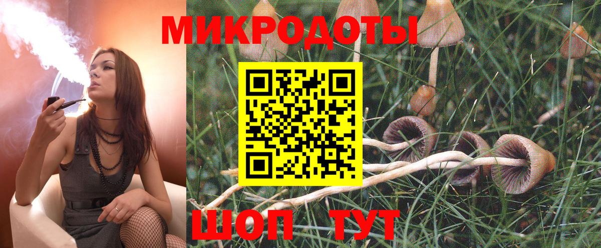 Старая Купавна  Галлюциногенные грибы GOLDEN TEACHER  Вход с VPN  Галлюциногенные грибы Psilocybe 
